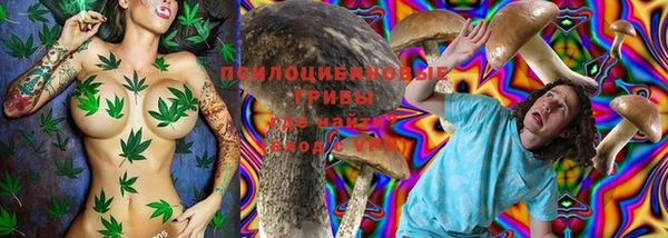 винт Белокуриха